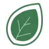 Logo Leaves